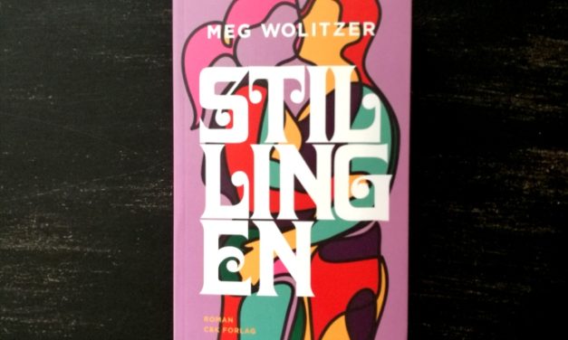 “Stillingen” af Meg Wolitzer