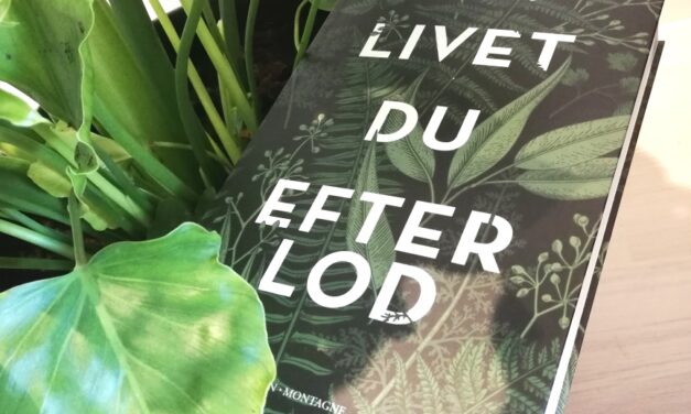 “Livet du efterlod” af Lotte Elmann Wegner